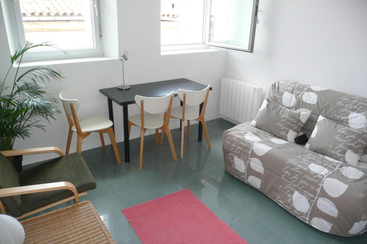 Appartement Dans Toulouse Hyper Centre Dış mekan fotoğraf