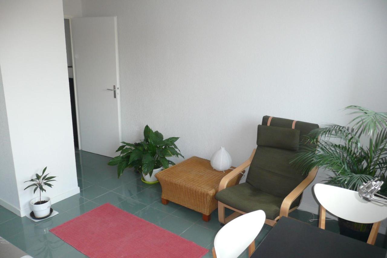Appartement Dans Toulouse Hyper Centre Dış mekan fotoğraf