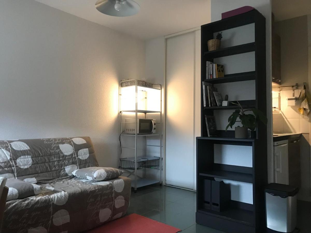Appartement Dans Toulouse Hyper Centre Dış mekan fotoğraf